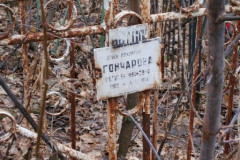 Гончарова Пелагея Ивановна