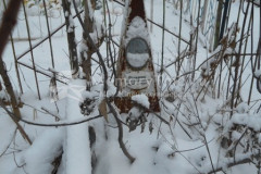 Рязанова Александра Степановна