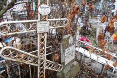 Каратеева Антонина Петровна