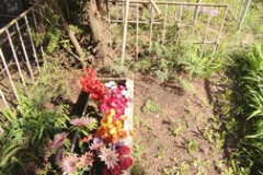 Безымянная (Не видно)