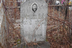 Мишин Н П