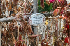 Гриднева Анна Григорьевна