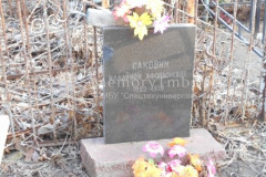 Саковин Илларион Афонасьевич