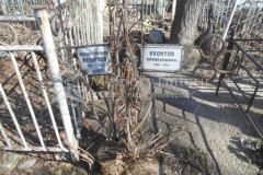 Яхонтова Александра Васильевна