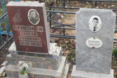 Селезневы