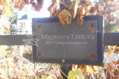 Дементьевы