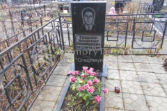 Тендлер Владимир Леонидович