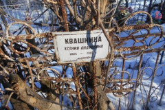 Квашнина Ксения Андреевна