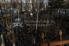Безымянная