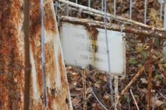 Не видно