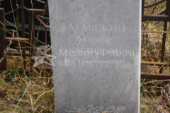 Татарский Мирон Александрович