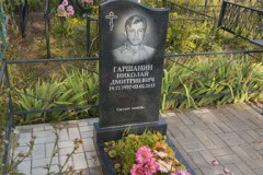 Гаршанин Николай Дмитриевич