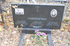 Одинцовы