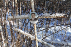 Леженин Григорий Петрович