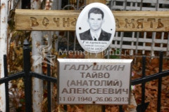 Галушкин Анатолий Алексеевич