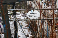 Щукин Дмитрий Тихонович