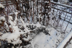 Безымянная