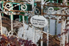 Невзорова Елена Степановна