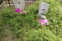 Логинова Валентина Степановна