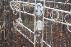 Васютина Анастасия Ионовна