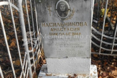 Насильникова Анастасия Николаевна