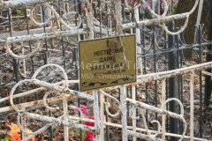 Нестерова Дария Николаевна