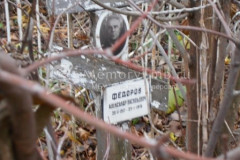 Федоров Александр Васильевич