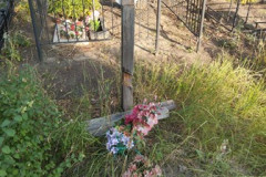 (536) Пенина Ирина Алексеевна