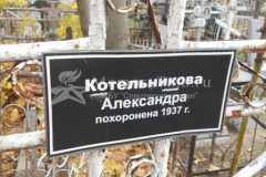 Котельникова Александра