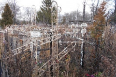 Плешакова Аля