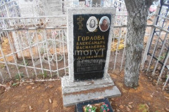 Горлова Валентина Владимировна