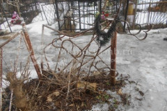 Безымянная