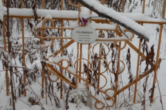Галямина Степанида Степановна