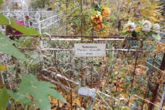 Чайникова Татьяна Леонтьевна