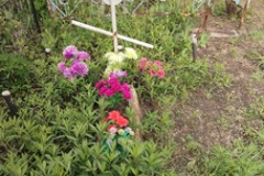(2766) Любимов Виктор Степанович