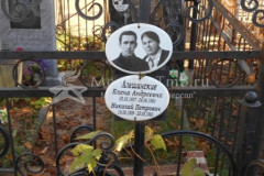 Алешинские