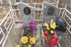 Аленичев Валентин Петрович