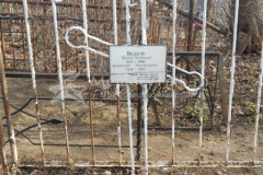 Бедель Александр Михайлович
