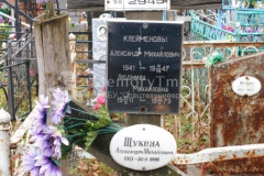Шубин Аркадий