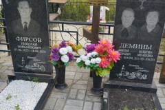 Демина  Валентина Михайловна