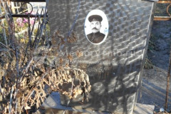 Савельев Т И