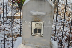 Шанышин В М