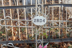2804