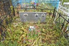 Дейнега