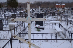 Дмитриева Александра Александровна