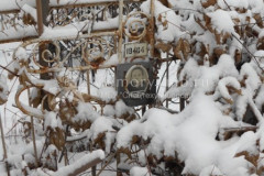 Жалнина Мария Николаевна