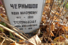 Виндряевская Мария Александровна
