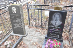 Дворкина