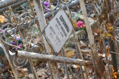 Сорокины