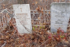 Беневоленская Александра Васильевна